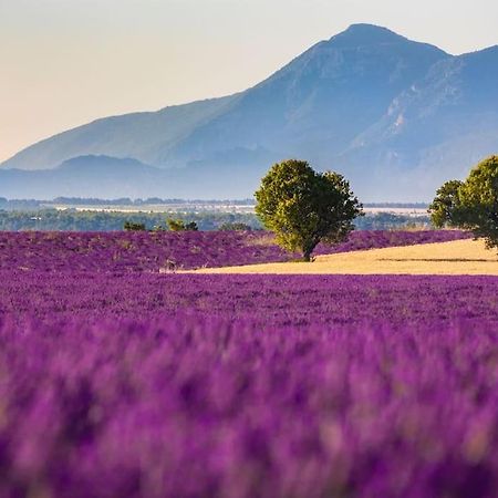 Joli T2 Jardin, Entre Mer/Verdon ซาแลนส์ ภายนอก รูปภาพ